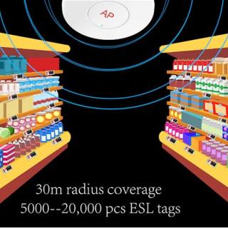 Einführung der ESL-Lösung