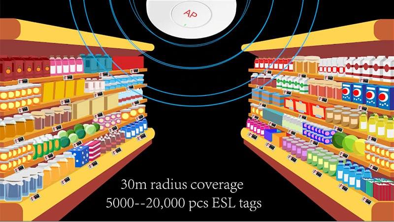 Einführung der ESL-Lösung